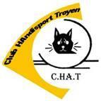 Logo chat